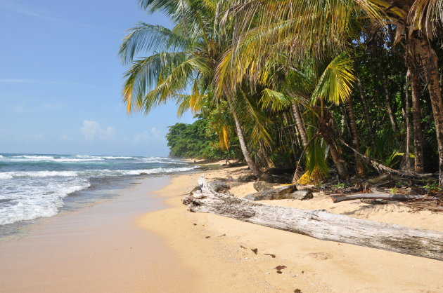 Ongerepte stranden aan de caribbean.