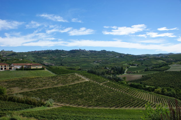 Uitzicht over omgeving Grinzane Cavour
