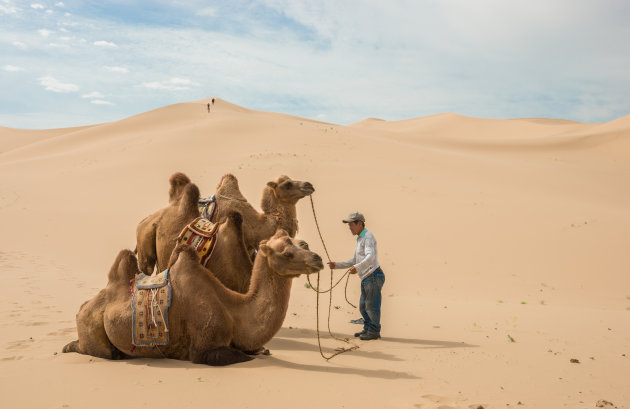 Met een kameel naar Khongoryn Els