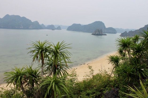 Het kleine eilandje bij Cat Ba Island,  Vietnam