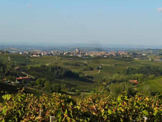 Unesco werelderfgoed : wijnheuvels van Piemonte