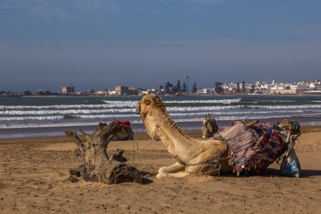 Bounty gevoel in Essaouira