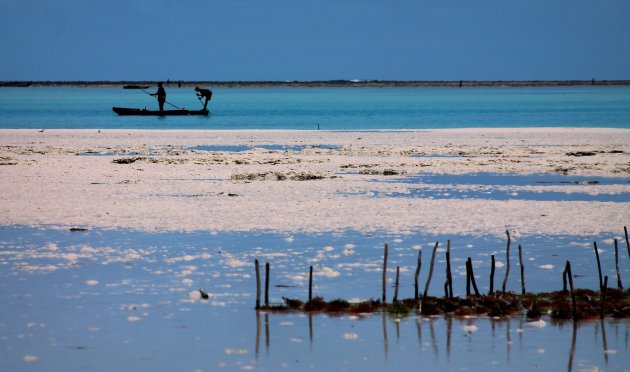Visserij langs de Kust van Zanzibar