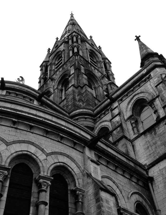 Saint Fin Barre's Cathedral - Cork