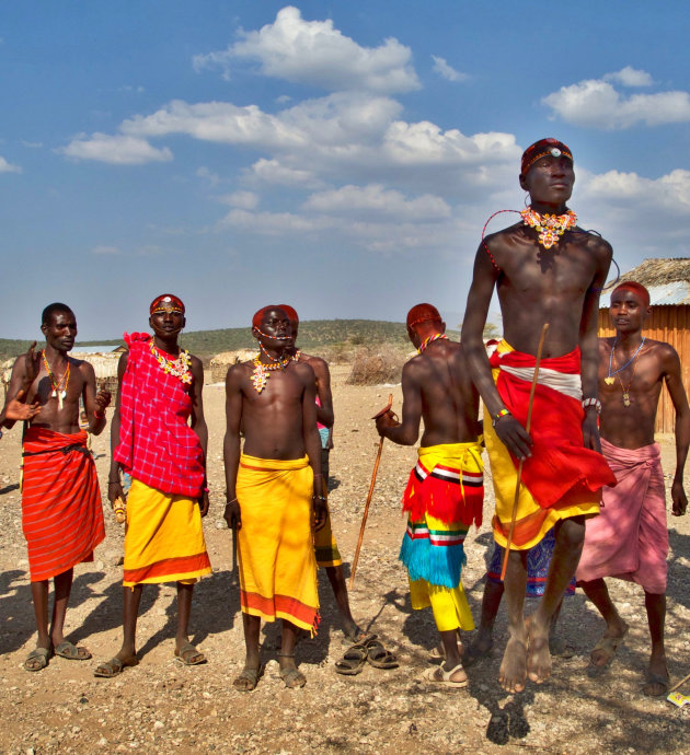 Springende Samburu