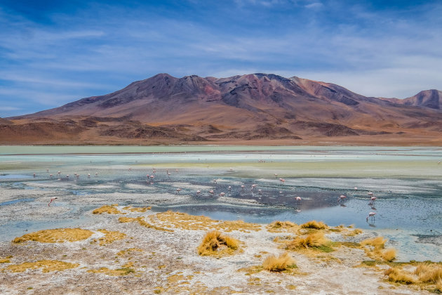 het stinkmeer in Bolivia is niet vies
