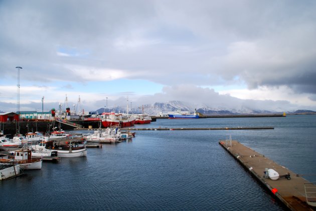 De oude haven van Reykjavik