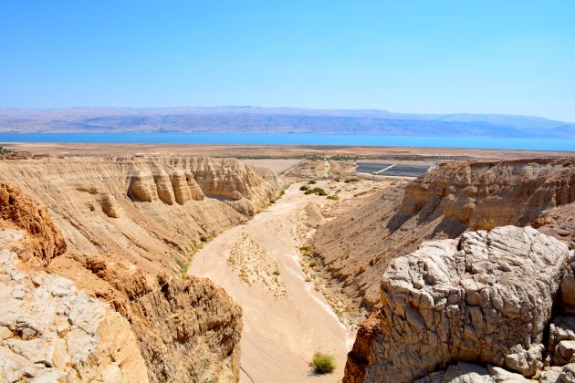 De Dode Zee-rollen van Qumran