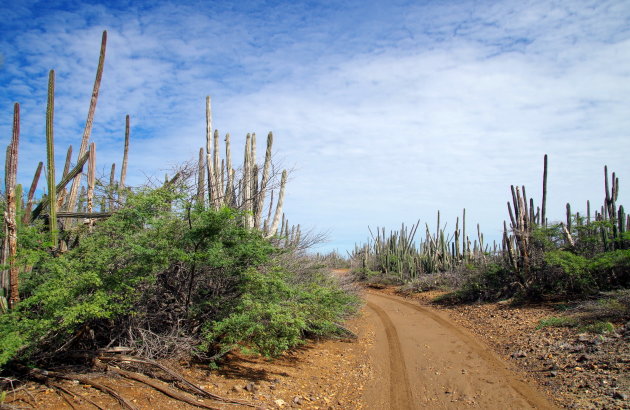 Trail door de outback van Bonaire