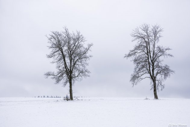 Sauerland in de sneeuw