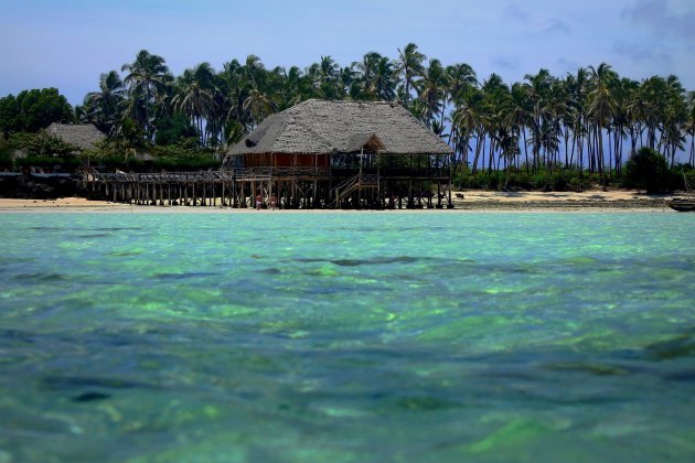 Zwemmend Zanzibar Ontdekken