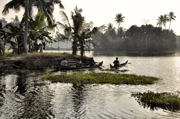Het leven op de backwaters