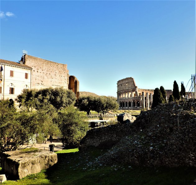 Colosseum vanuit het Forum Romana