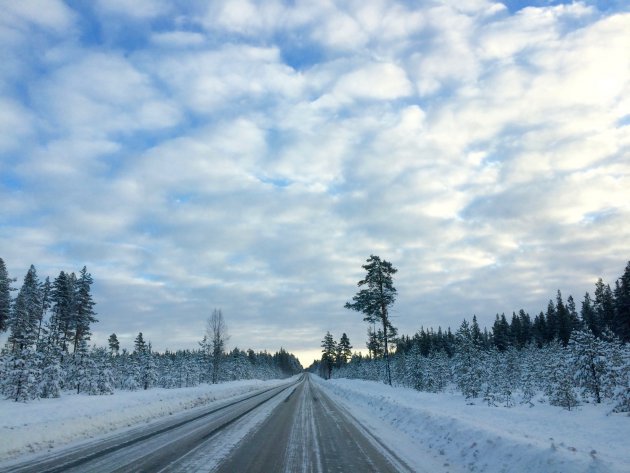 Roadtripping winters Zweden