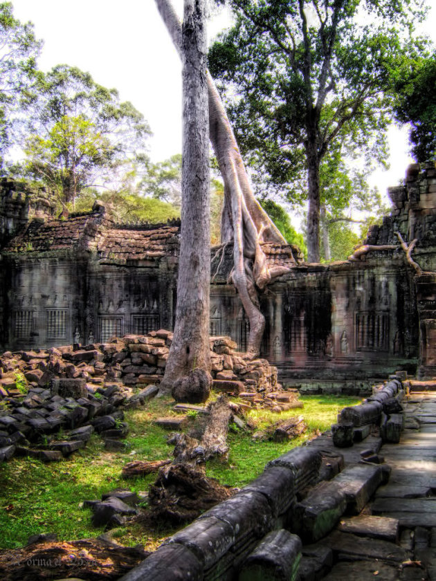 Seam Reap Angkor Watt