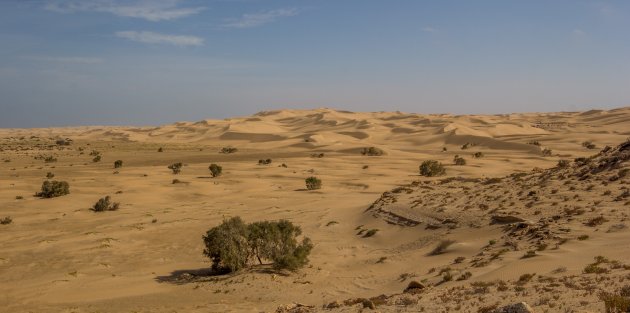 De duinen van NP Khenifiss
