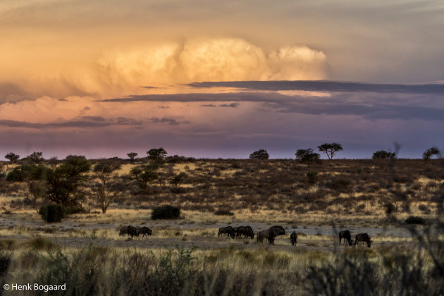 zonsondergang in de Kalahari