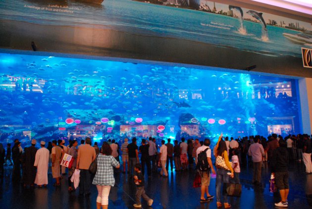 Grootste aquarium ter wereld
