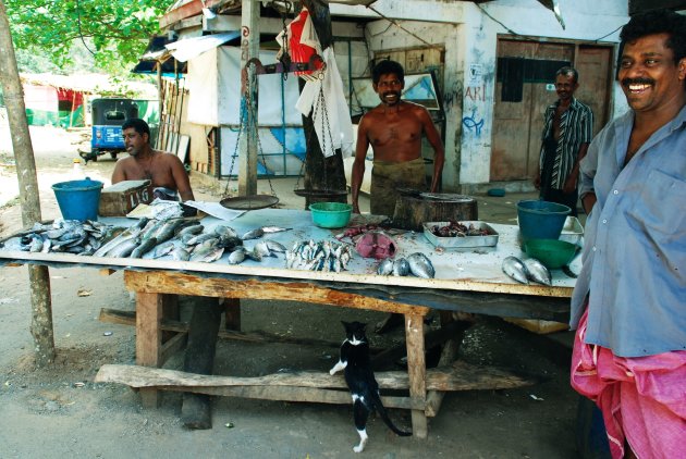 Plezier op de vismarkt