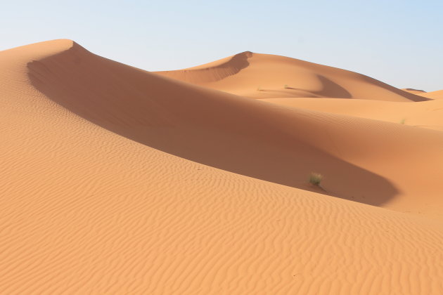 De betoverende Sahara
