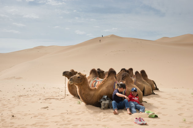 Kamelen rit naar Khongoryn Els