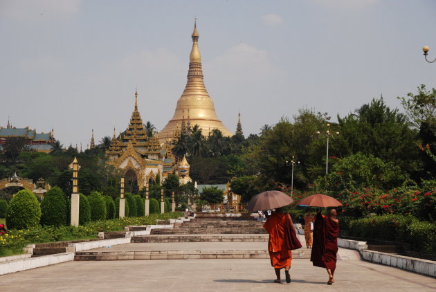 Monniken op weg naar de Shwedagon Pagoda