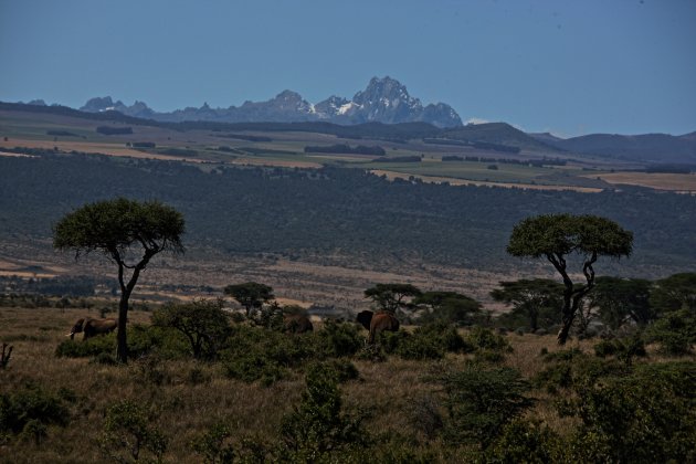  Mount Kenya N.P
