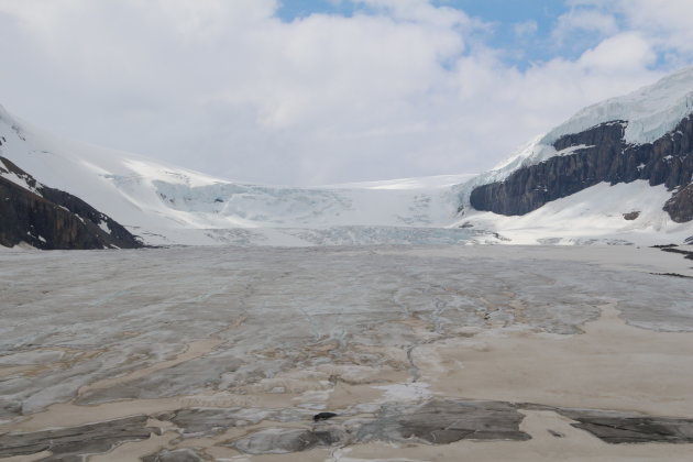 Natuur schoon: Athabasca glacier