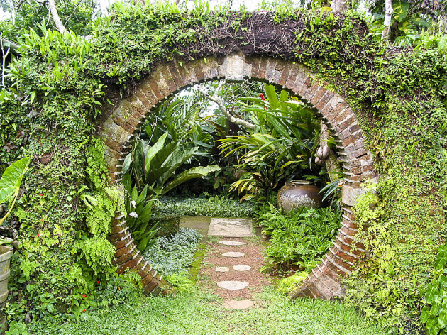 De tuin van BRIEF -Sri Lanka