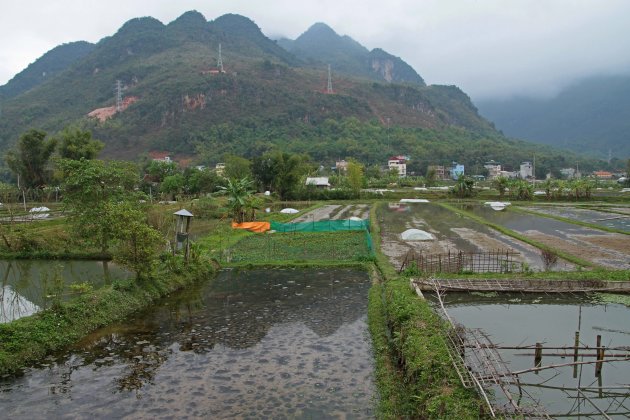 Landschap Mai Chau