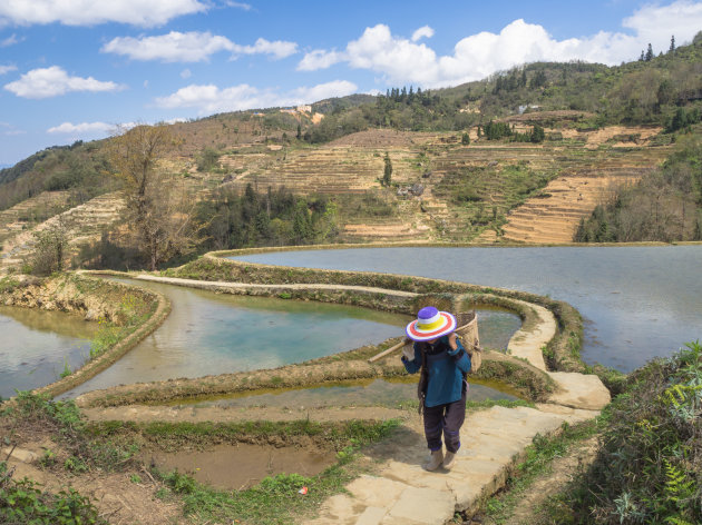 Hiking over de rijstterassen van Honghe