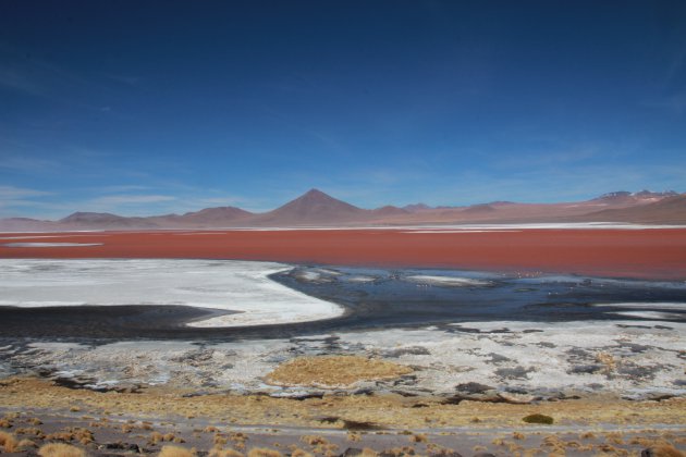 laguna colorada Bolivia