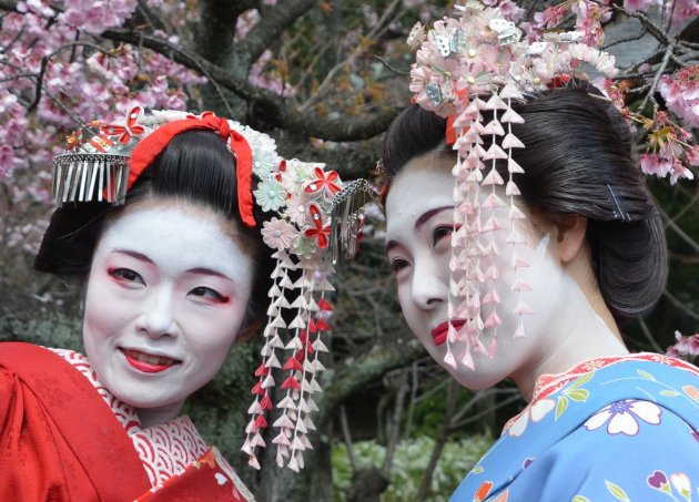 Sakura,Japanse bloesemtijd 