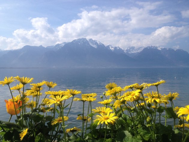 Voorjaar rondom het meer van Genève 