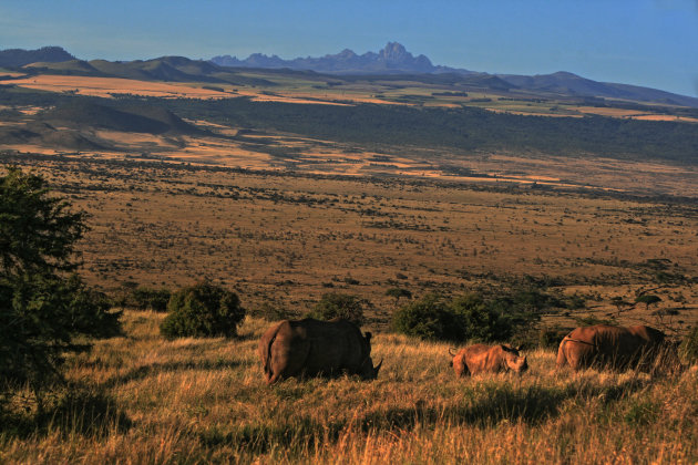 De Mount Kenya