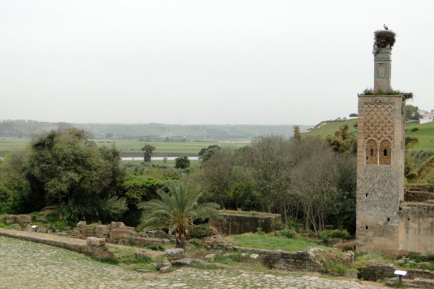 Ruïnes van Chellah