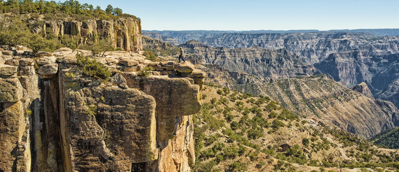 The Copper Canyon image