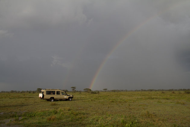 De Serengeti in donkere tijden