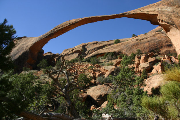 de breedste rotsboog ter wereld in Arches NP