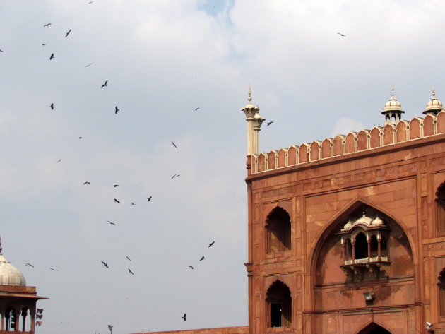 gieren boven moskee