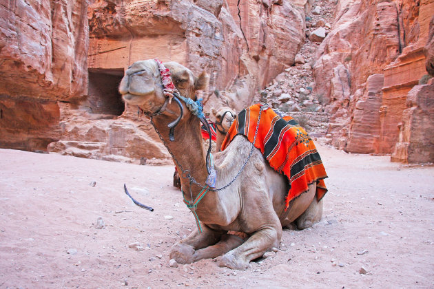 Wachten in Petra