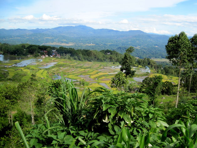Uitzicht over Toraja