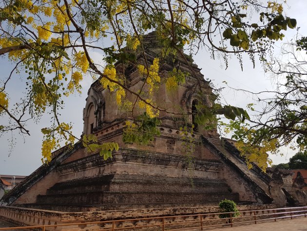Wat Chedi Luang in de gouden regen..