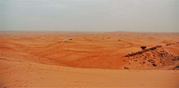 Dune bashen