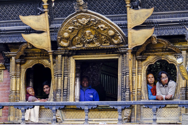 Koekeloeren in Kathmandu