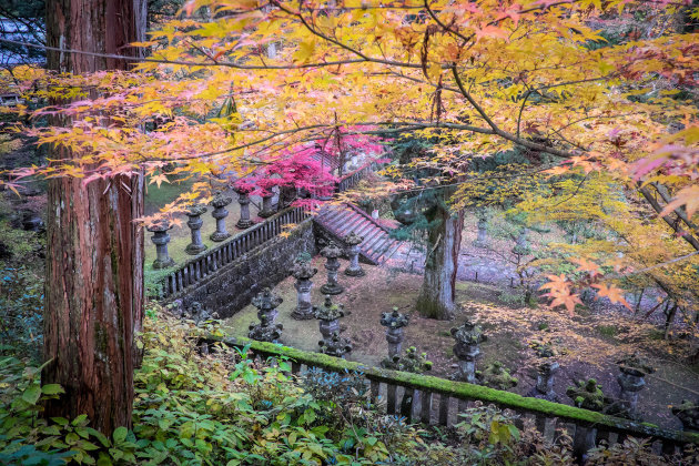 Herfst kleuren Nikko
