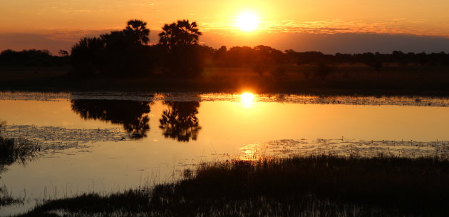 sunset in de Okavango delta
