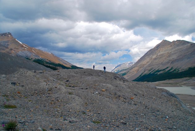 Wandelen bij de Athabasca Glacier