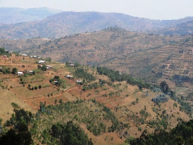 De heuvelruggen van Rwanda