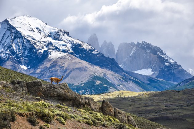 Genieten van Torres del Paine vanuit de auto